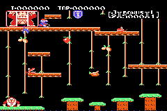 Animal Crossing - Donkey Kong Jr. — screenshot