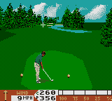 Pga Tour 96 — screenshot