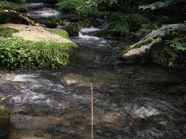 Reel Fishing — screenshot