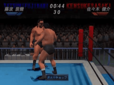 All Star Pro Wrestling — screenshot